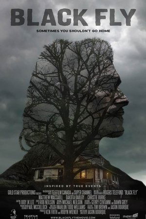 Black Fly Black Fly