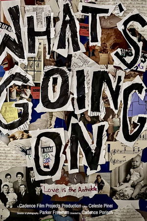 What's Going On? What's Going On?