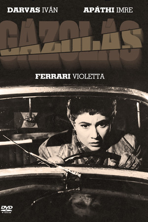 Hit and Run Hit and Run