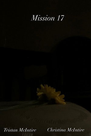 Mission 17 Mission 17