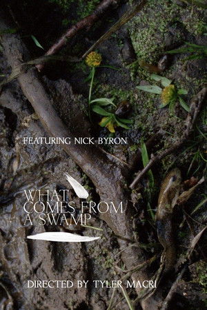 What Comes from a Swamp
