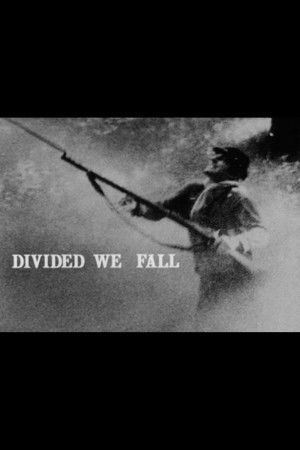Divided We Fall Divided We Fall