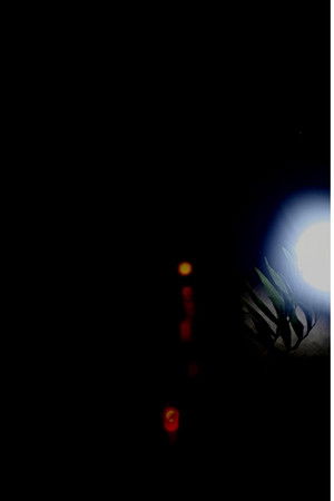 Duas Voltas Duas Voltas