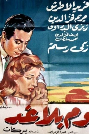 A day without tomorrow A day without tomorrow