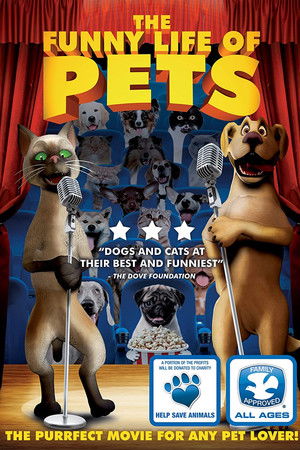 The Funny Life of Pets The Funny Life of Pets