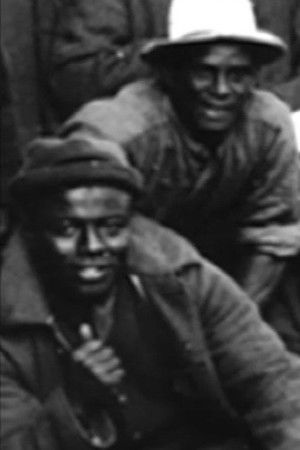 Tree Fellers Tree Fellers