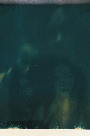 Taboo Cocoon Taboo Cocoon