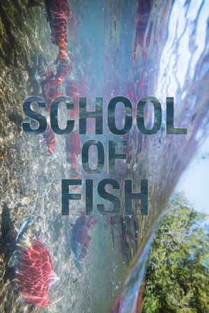 School of Fish School of Fish