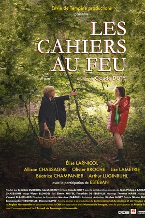 Les cahiers au feu