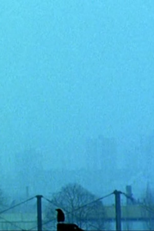 Les Choses rouges Les Choses rouges