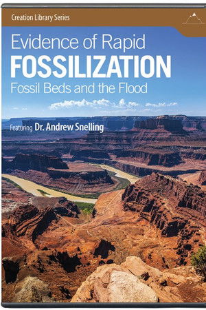 Evidence of Rapid Fossilization Evidence of Rapid Fossilization