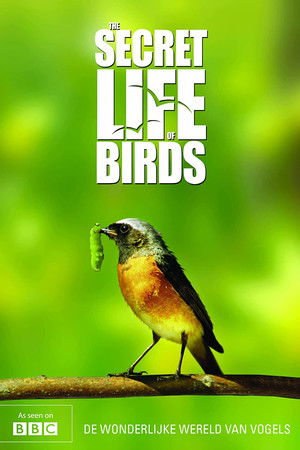Iolo's Secret Life of Birds Iolo's Secret Life of Birds