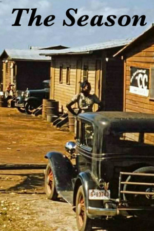 The Season The Season