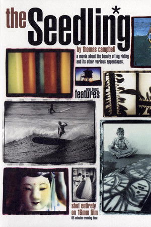 The Seedling The Seedling