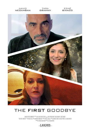 The First Goodbye The First Goodbye