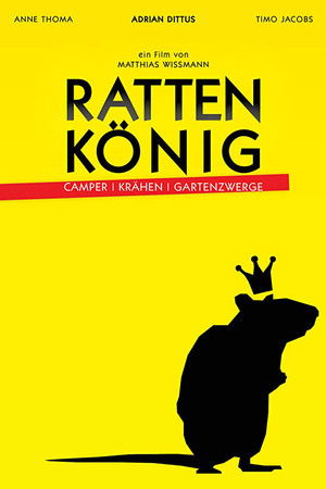 Rattenkönig Rattenkönig