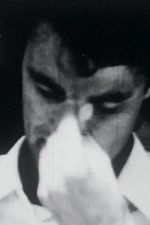 Life Is Beautiful Life Is Beautiful