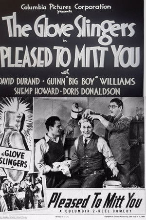 Pleased to Mitt You Pleased to Mitt You