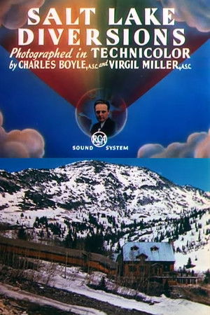 Salt Lake Diversions Salt Lake Diversions