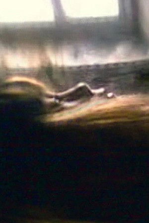 Dark Glass Dark Glass