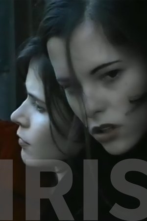 Iris Iris