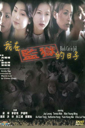 Black Cat in Jail Black Cat in Jail