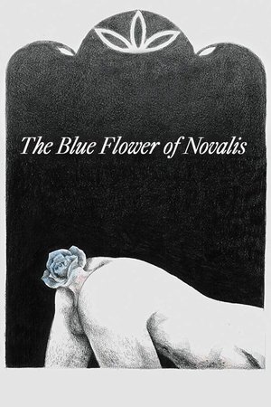 The Blue Flower of Novalis The Blue Flower of Novalis