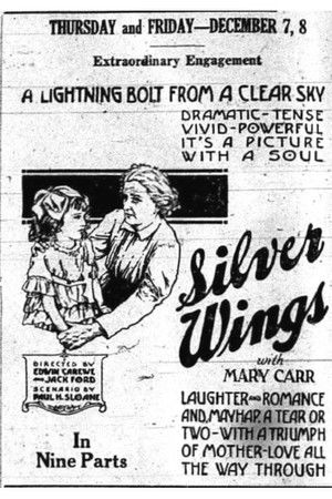 Silver Wings Silver Wings