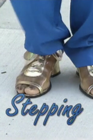 Stepping Stepping
