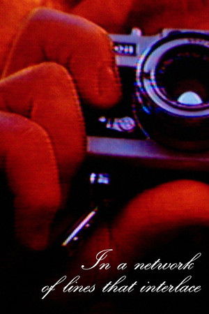 In a network of lines that interlace In a network of lines that interlace