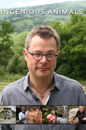 Ingenious Animals Ingenious Animals