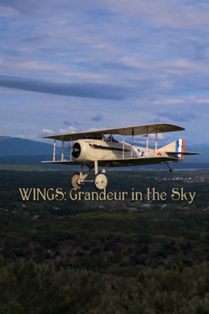 Wings: Grandeur in the Sky Wings: Grandeur in the Sky