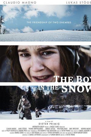 The Boy in the Snow