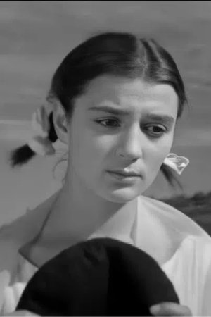 Intercity Train Intercity Train