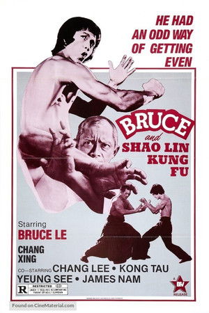 Bruce and Shaolin Kung Fu