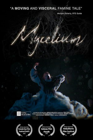 Mycelium Mycelium