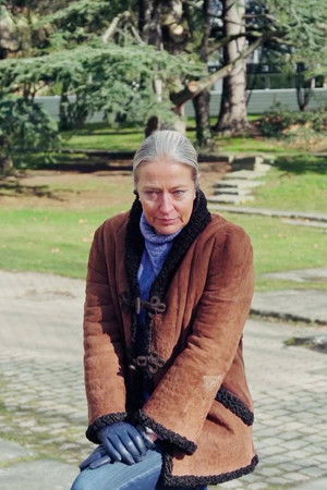 Taube Feuer Taube Feuer