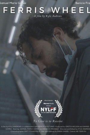 Ferris Wheel Ferris Wheel