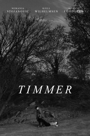 Timmer