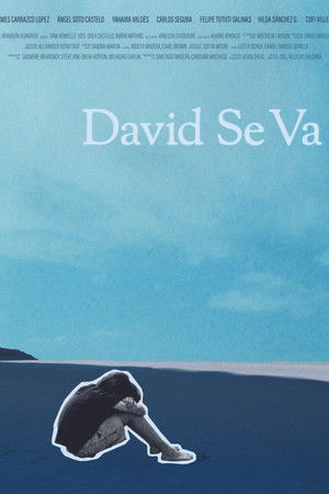 David Se Va
