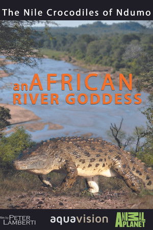 River Dragons of Ndumo River Dragons of Ndumo