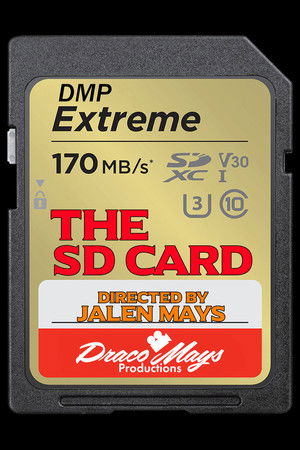 The SD Card The SD Card