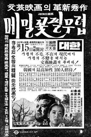 When the Buckwheat Blooms