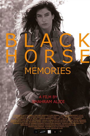 Black Horse Memories Black Horse Memories