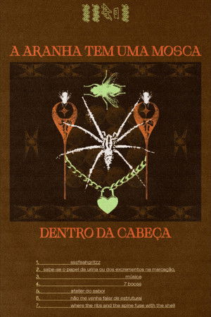 The spider has a fly in its head The spider has a fly in its head