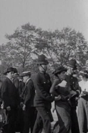 Palace Pandemonium Palace Pandemonium