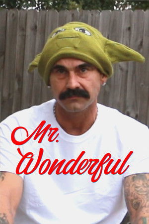 Mr. Wonderful Mr. Wonderful