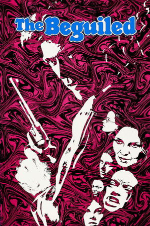 The Beguiled The Beguiled