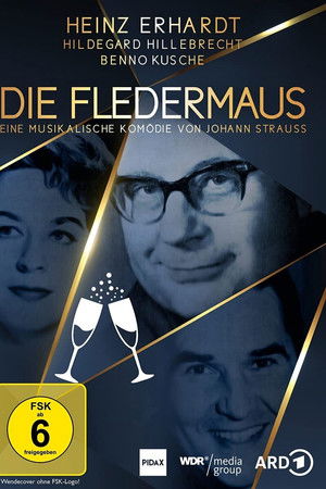 Die Fledermaus
