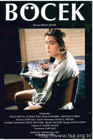 The Cockroach The Cockroach